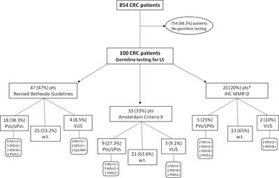 Impact of Different Selection Approaches for Identifying Lynch Syndrome-Related Colorectal Cancer Patients: Unity Is Strength